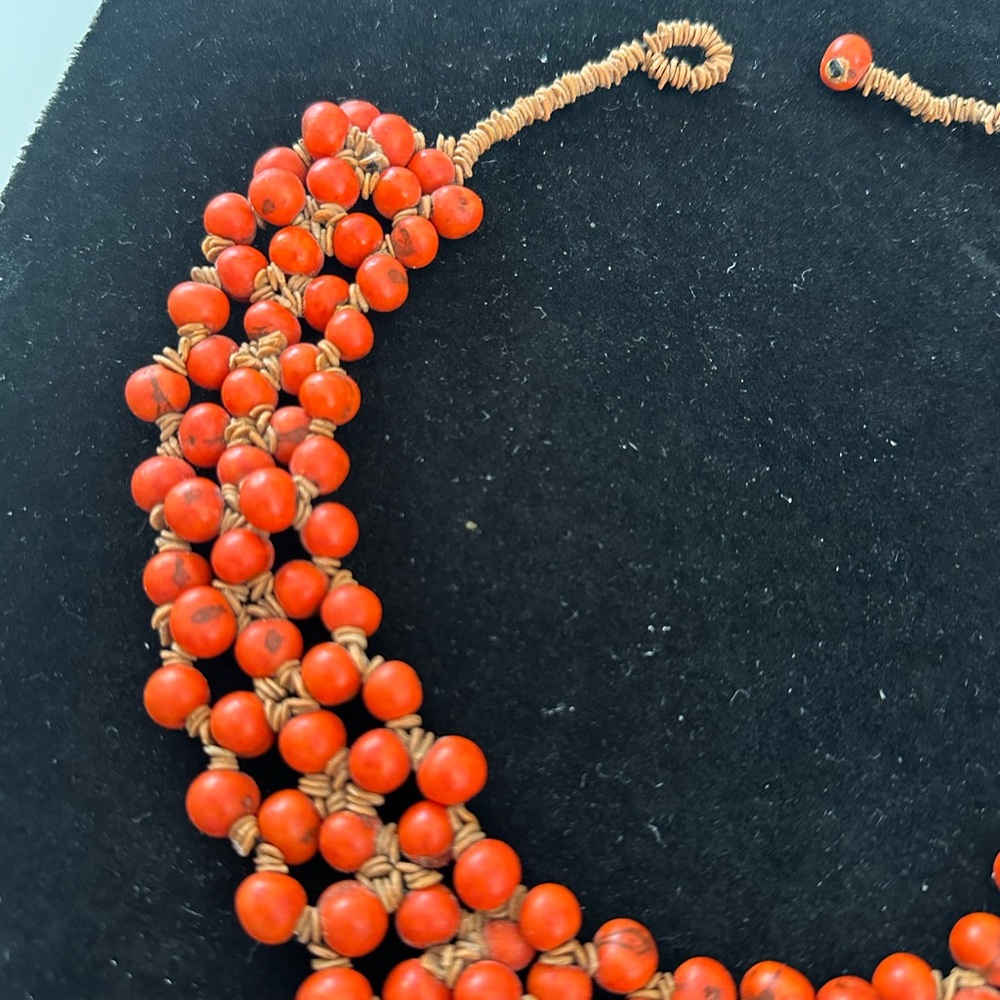 Necklace from Brazilian indigenous seeds